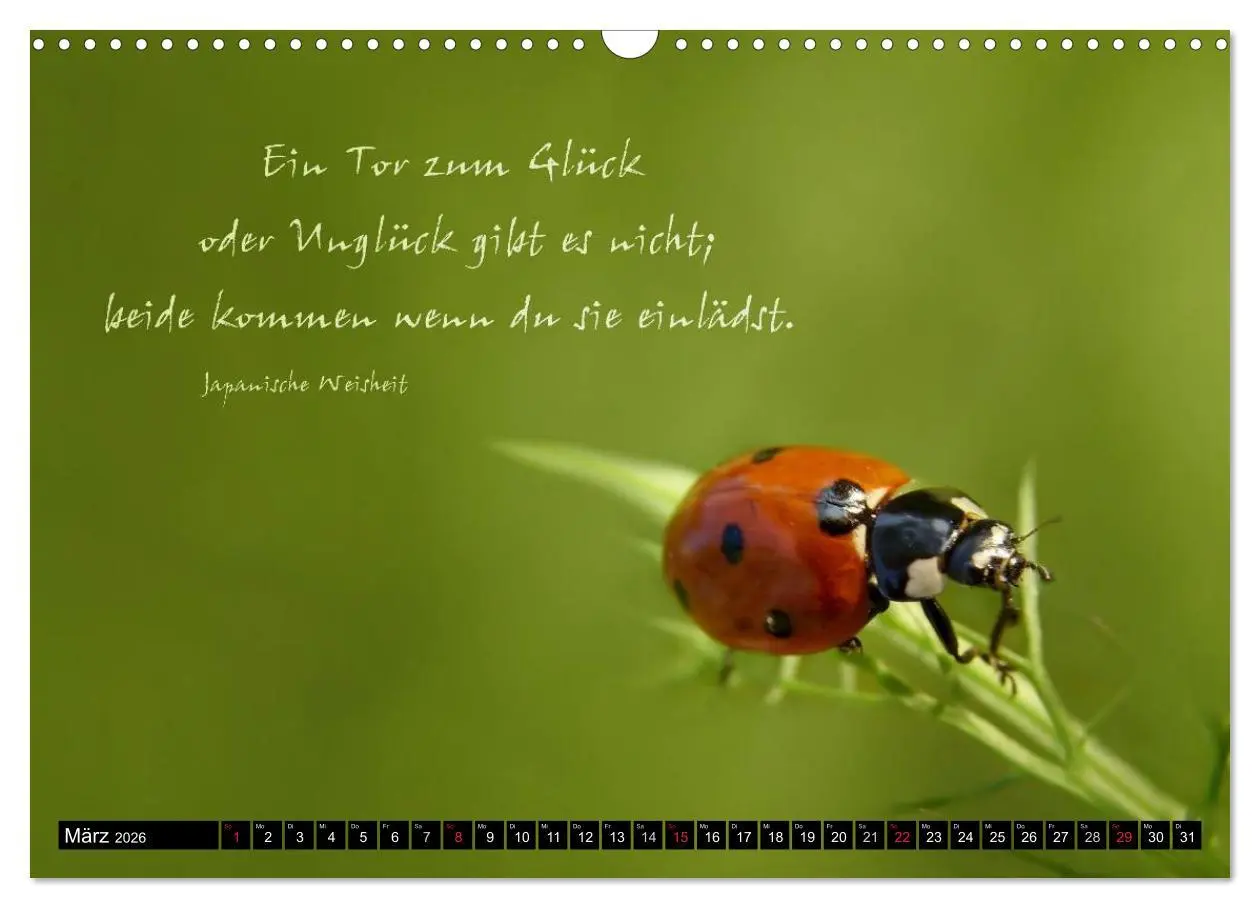 Bild: 9783516234176 | Das kleine, große Glück (Wandkalender 2026 DIN A3 quer), CALVENDO...