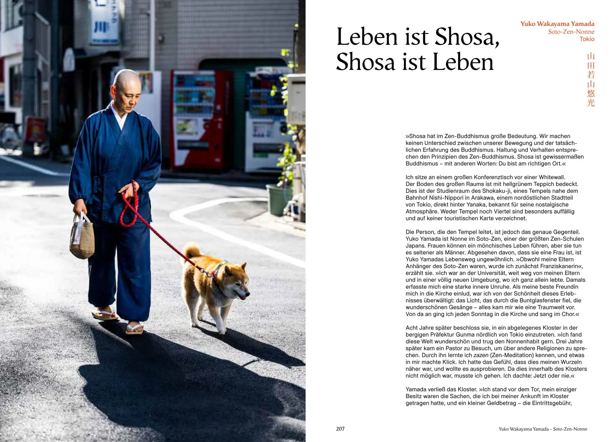 Bild: 9783791394176 | Shosa. Japans Handwerk und Traditionen. Die Kunst der Achtsamkeit