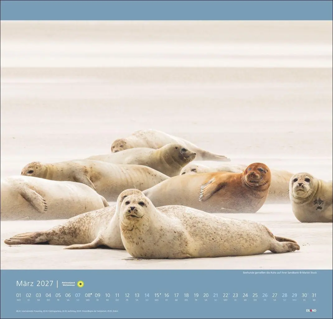 Bild: 9783964024176 | Nationalpark Wattenmeer Edition Kalender 2027 - Martin Stock | Stock