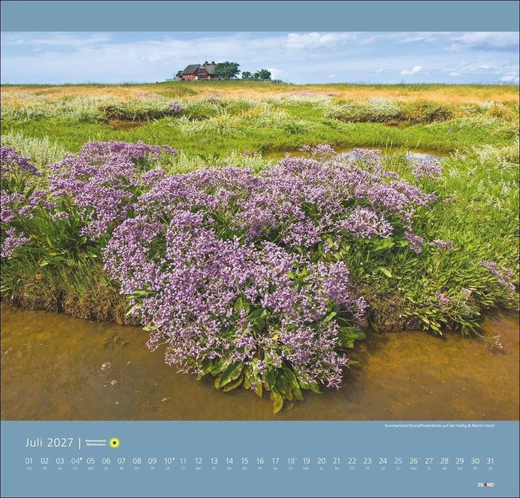 Bild: 9783964024176 | Nationalpark Wattenmeer Edition Kalender 2027 - Martin Stock | Stock