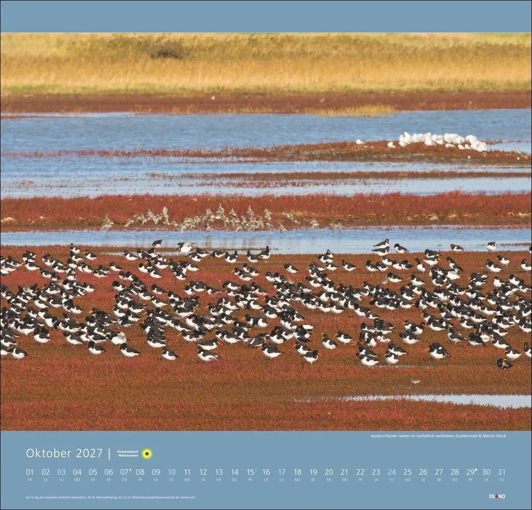 Bild: 9783964024176 | Nationalpark Wattenmeer Edition Kalender 2027 - Martin Stock | Stock