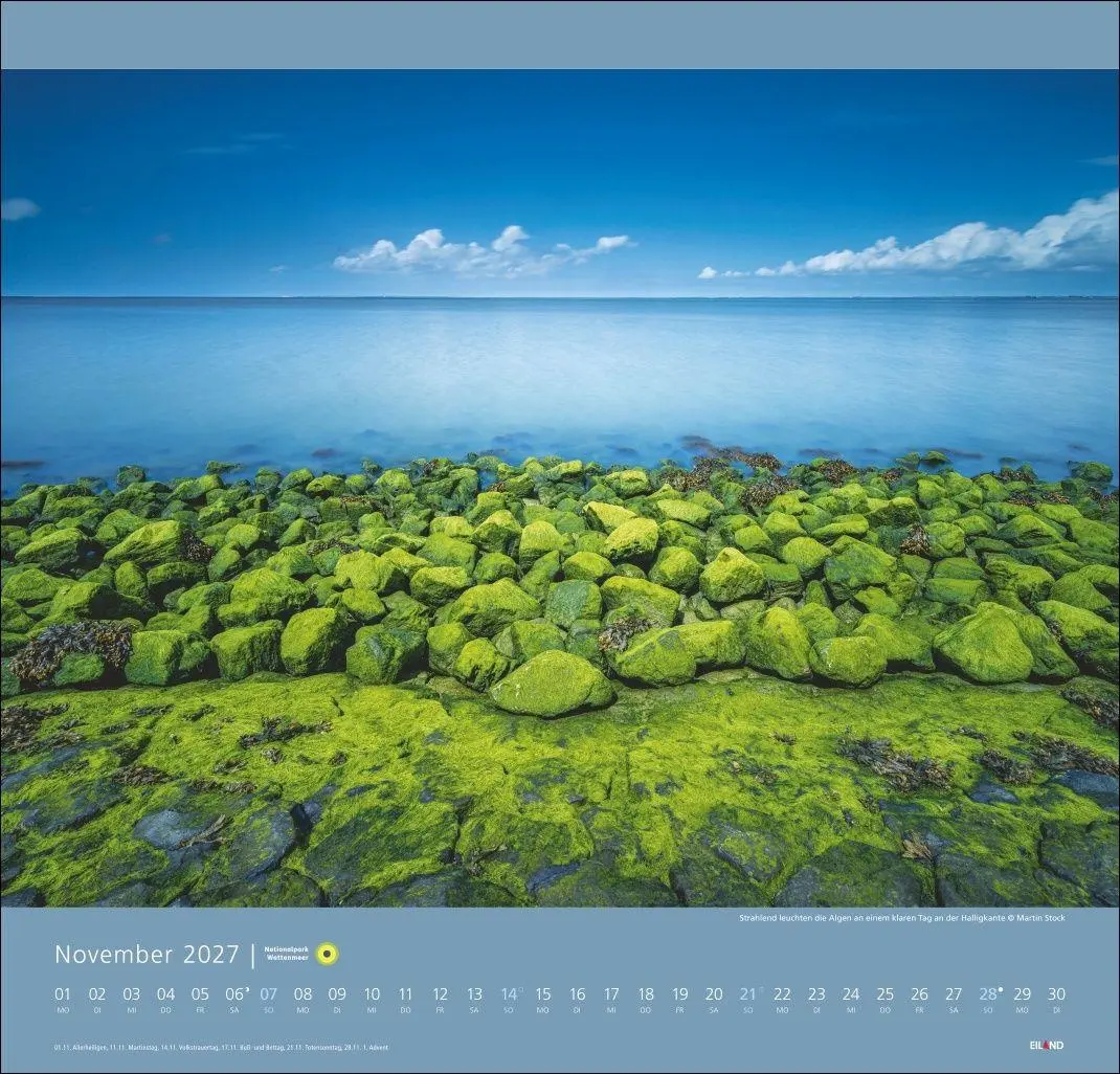 Bild: 9783964024176 | Nationalpark Wattenmeer Edition Kalender 2027 - Martin Stock | Stock