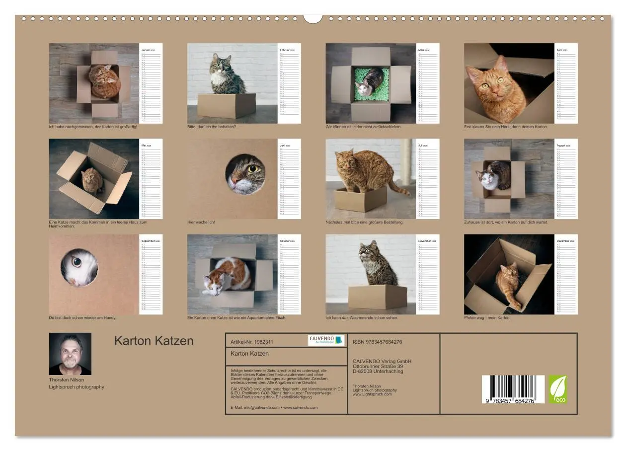 Bild: 9783457684276 | Karton Katzen (hochwertiger Premium Wandkalender 2026 DIN A2 quer),...