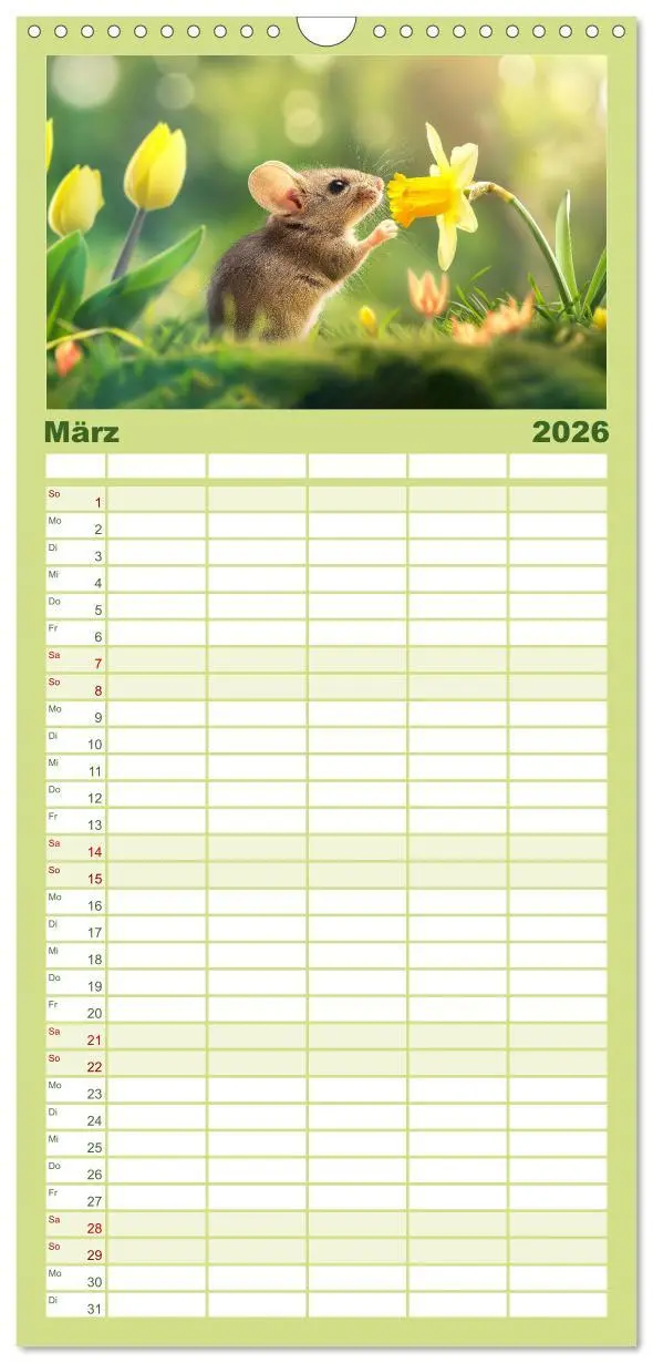 Bild: 9783516604276 | Familienplaner 2026 - Mäuse - neugierig unterwegs mit 5 Spalten...