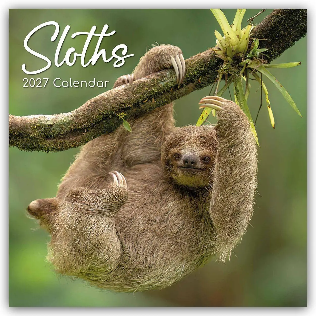 Cover: 9781805974376 | Sloths - Faultiere 2027 - 16-Monatskalender | Ltd | Kalender | 28 S.