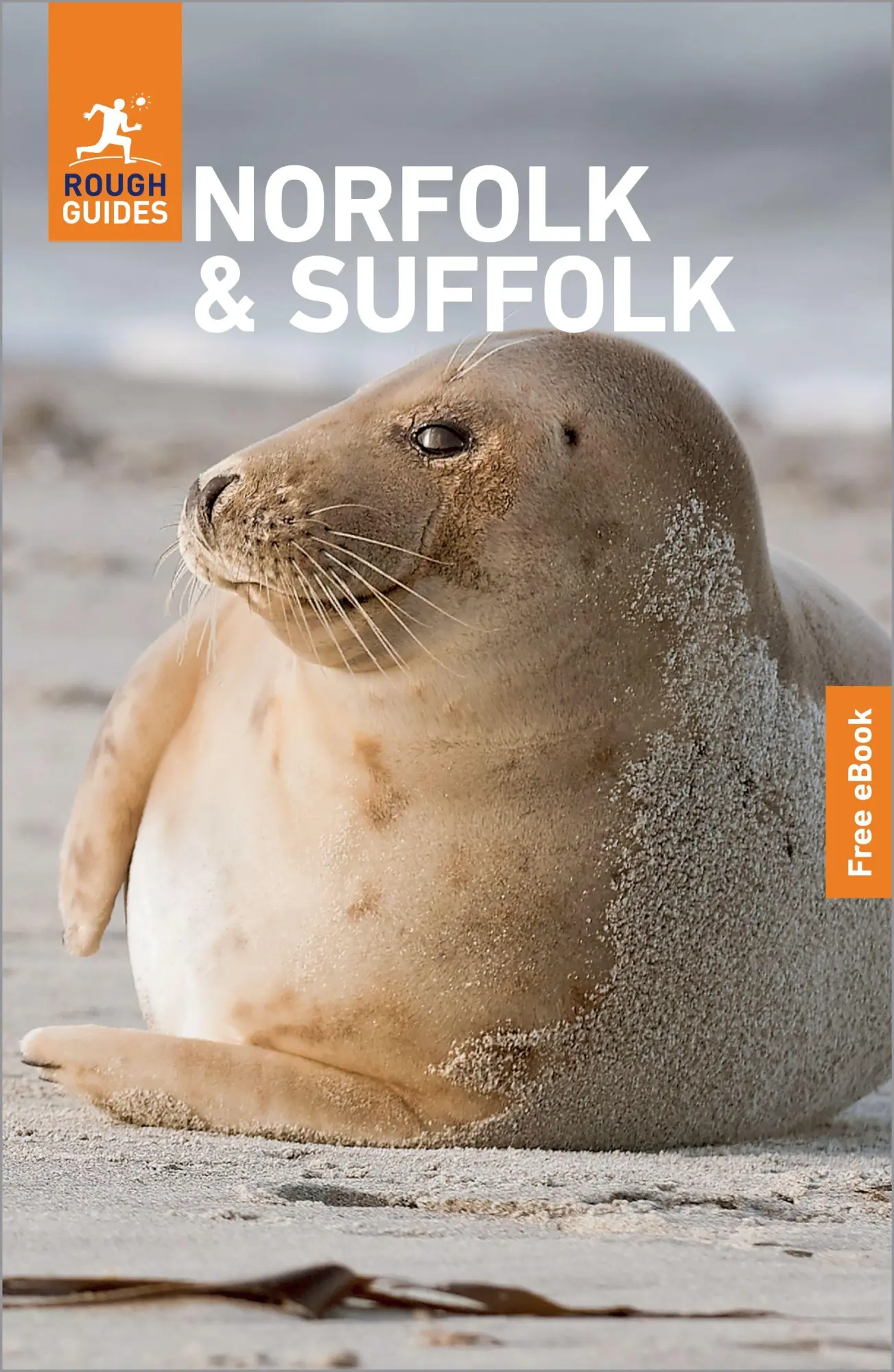 Cover: 9781835294376 | Rough Guides Norfolk and Suffolk: Travel Guide with eBook | Buch