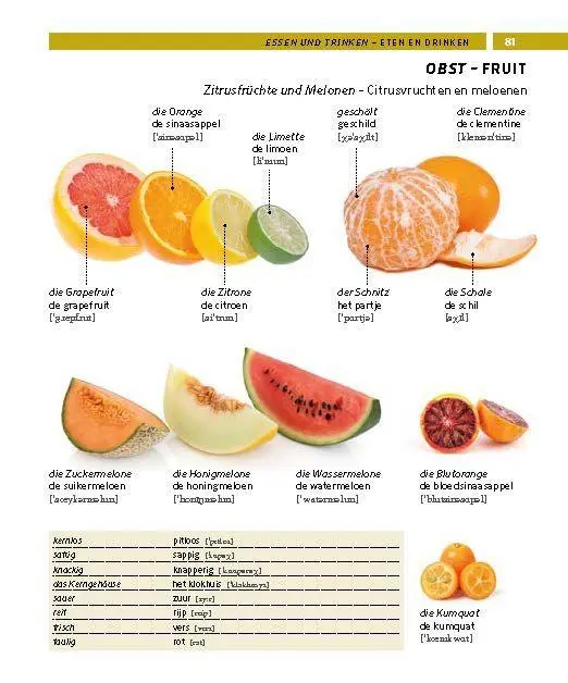 Bild: 9783125164376 | PONS Bildwörterbuch Niederländisch | Taschenbuch | PONS Bildwörterbuch