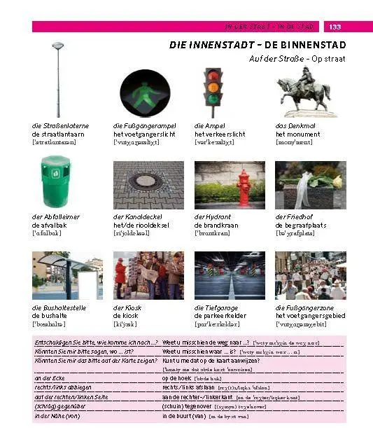 Bild: 9783125164376 | PONS Bildwörterbuch Niederländisch | Taschenbuch | PONS Bildwörterbuch