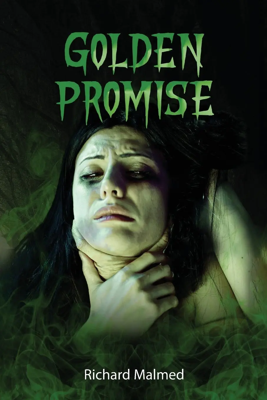 Cover: 9781647494476 | Golden Promise | Richard Malmed | Taschenbuch | Englisch | 2022