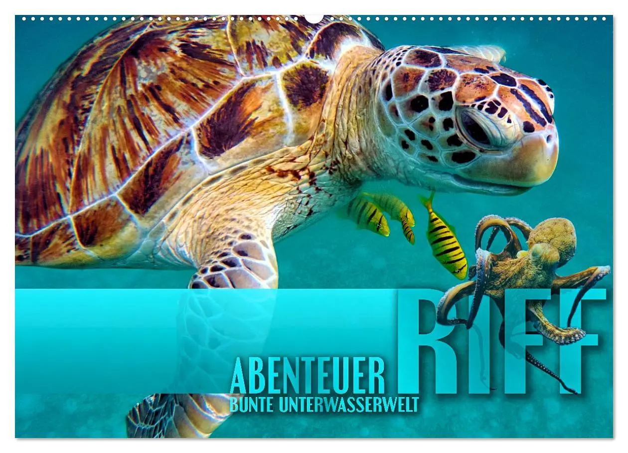 Cover: 9783457594476 | Abenteuer Riff - bunte Unterwasserwelt (Wandkalender 2026 DIN A2...