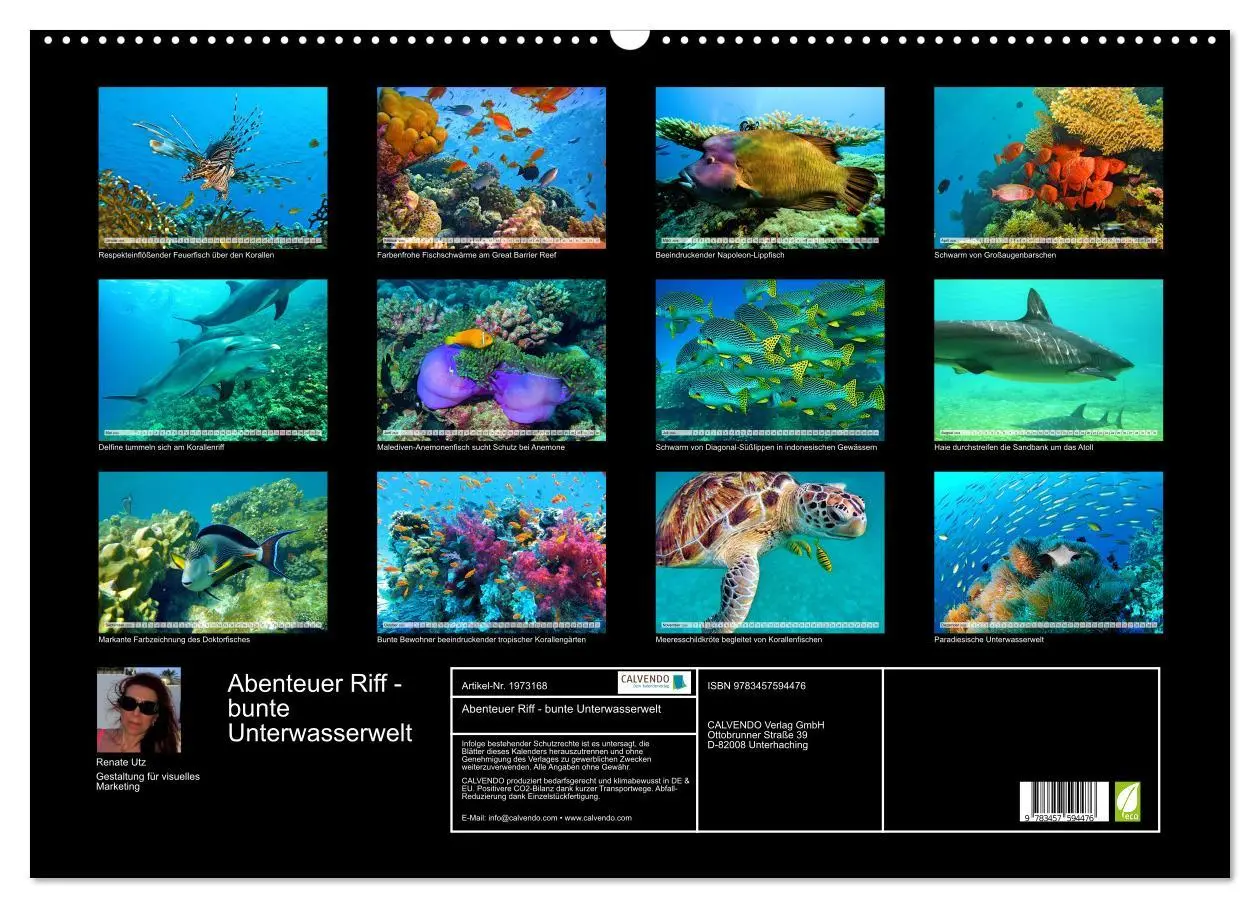 Bild: 9783457594476 | Abenteuer Riff - bunte Unterwasserwelt (Wandkalender 2026 DIN A2...