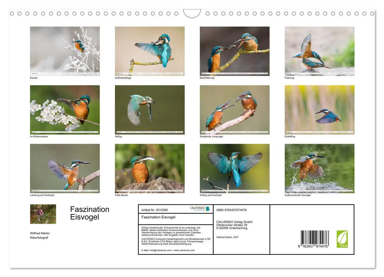 Bild: 9783457974476 | Faszination Eisvogel (Wandkalender 2026 DIN A3 quer), CALVENDO...