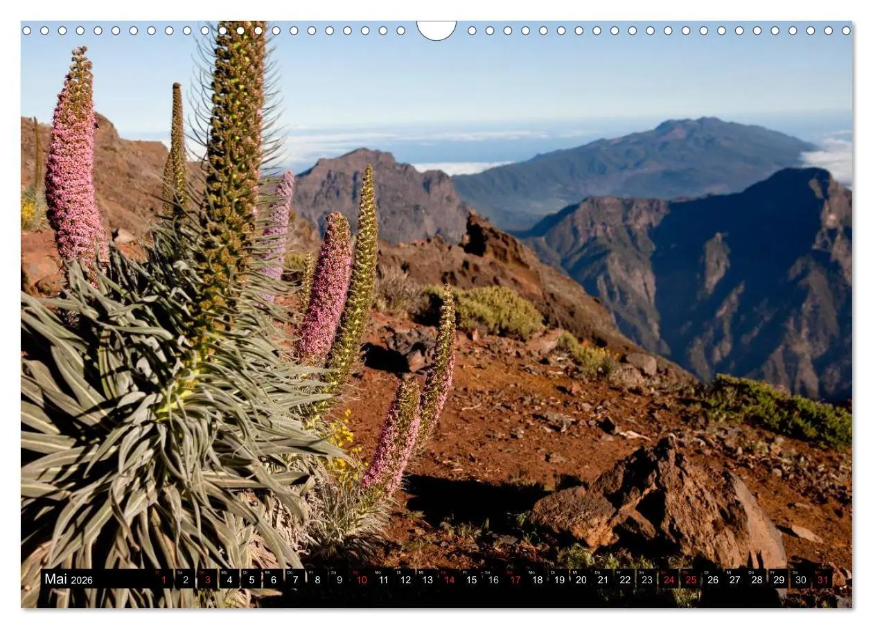 Bild: 9783516134476 | San Miguel de la Palma (Wandkalender 2026 DIN A3 quer), CALVENDO...