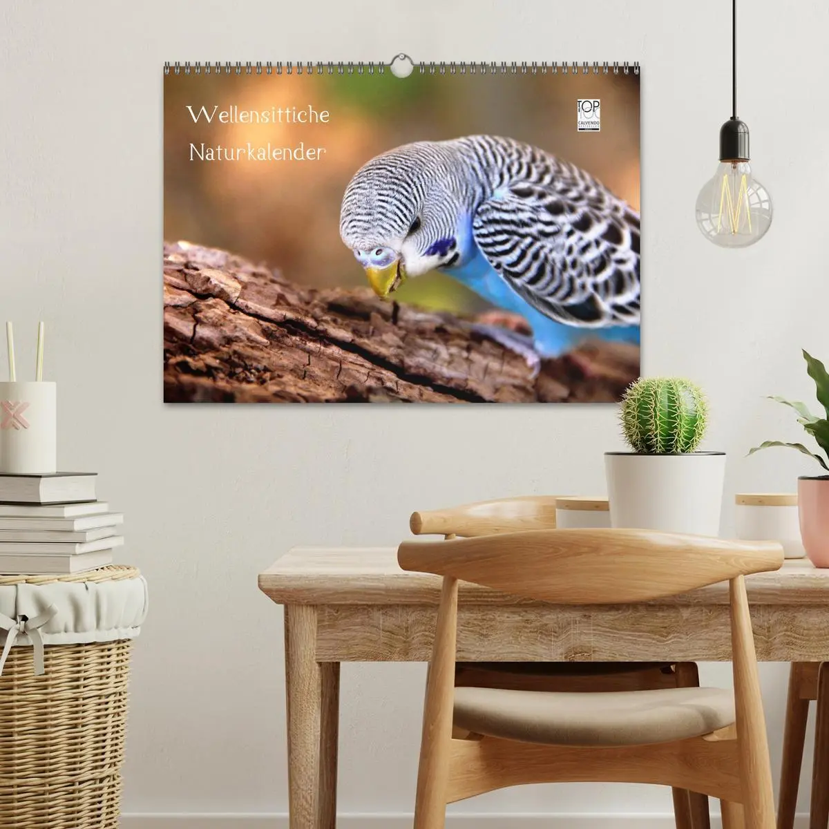 Bild: 9783516204476 | Wellensittiche - Naturkalender (Wandkalender 2026 DIN A3 quer),...