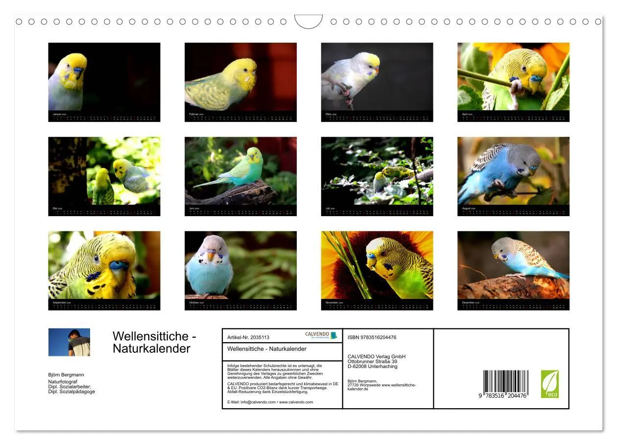 Bild: 9783516204476 | Wellensittiche - Naturkalender (Wandkalender 2026 DIN A3 quer),...