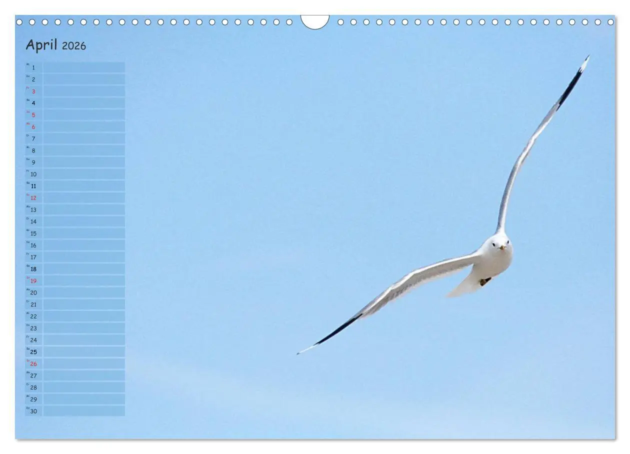Bild: 9783457964576 | Rund um Kühlungsborn (Wandkalender 2026 DIN A3 quer), CALVENDO...