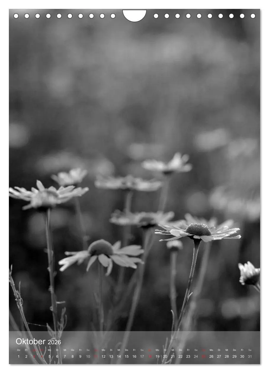 Bild: 9783516434576 | Monochrome Blüten - In Schwarz-Weiß Bildern durch das Jahr...