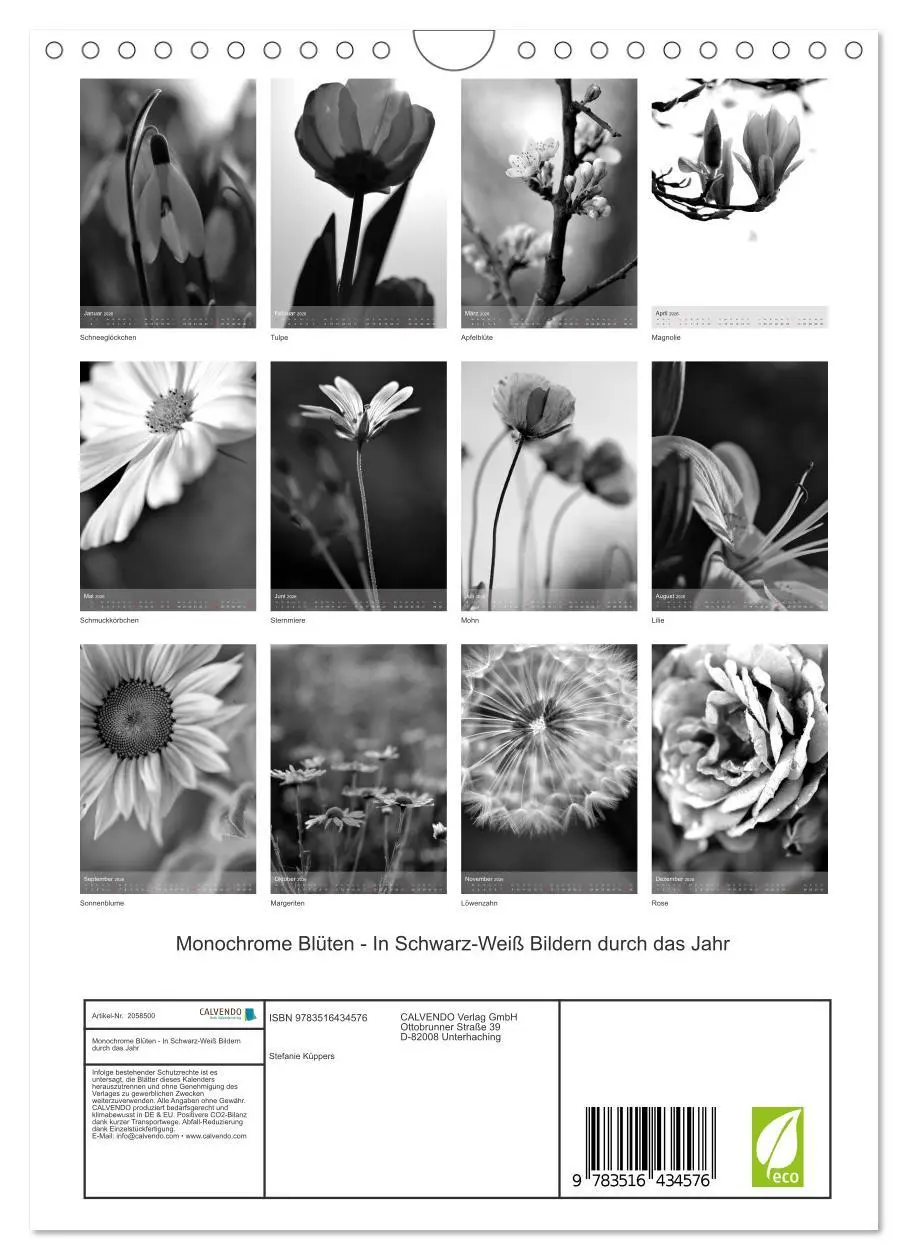 Bild: 9783516434576 | Monochrome Blüten - In Schwarz-Weiß Bildern durch das Jahr...