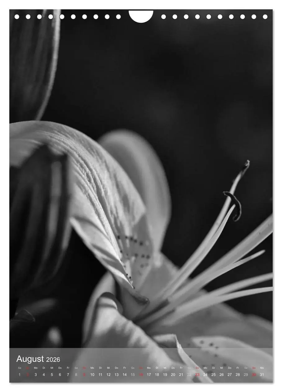 Bild: 9783516434576 | Monochrome Blüten - In Schwarz-Weiß Bildern durch das Jahr...