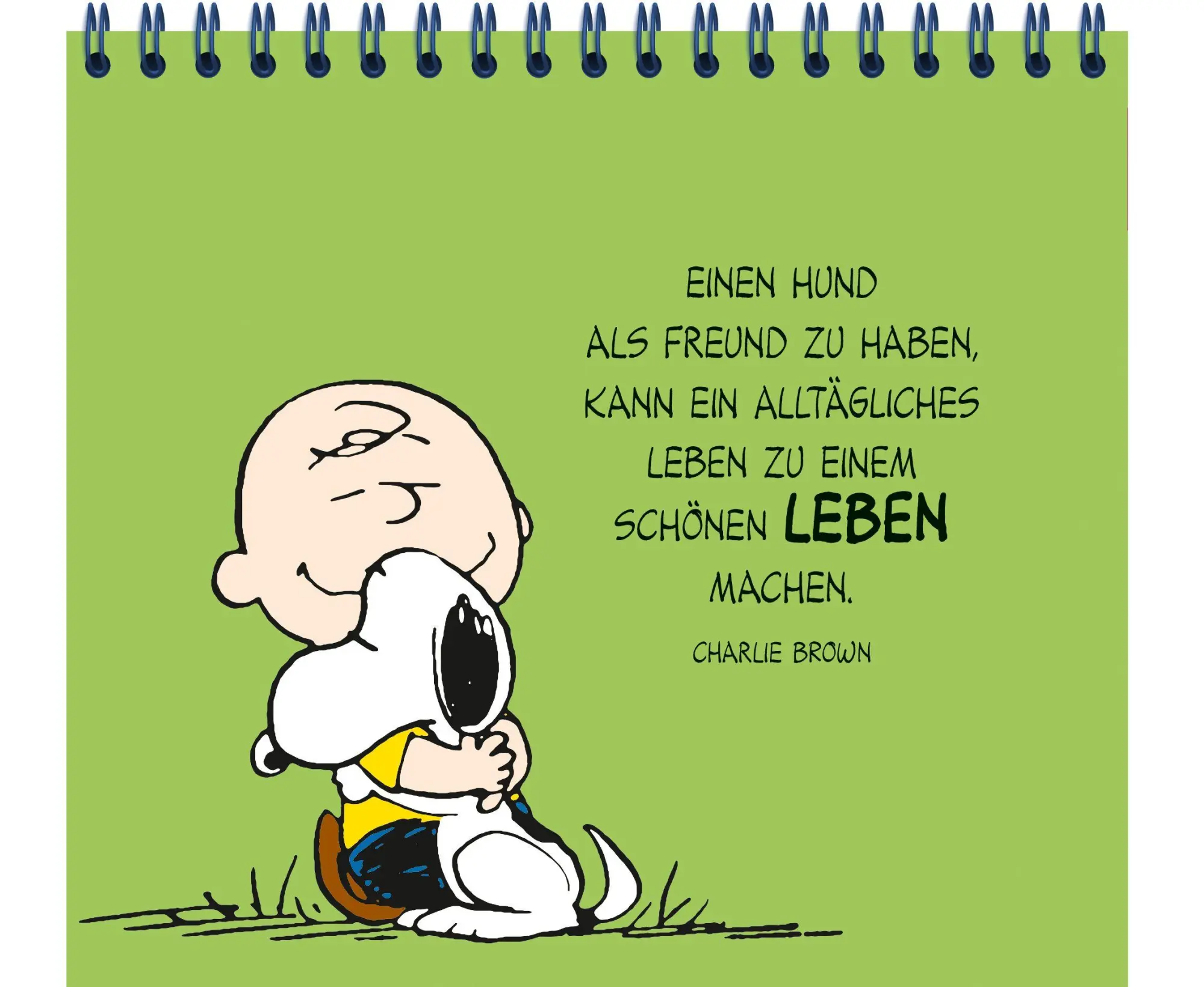 Bild: 9783963474576 | Peanuts: Freunde wie wir! - Sorgenfrei durch dick und dünn | Buch