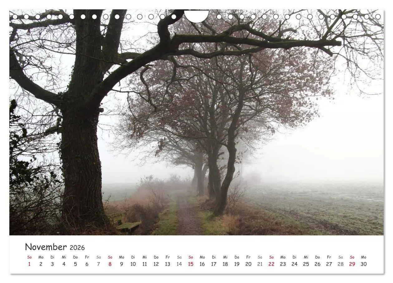 Bild: 9783457644676 | Zauberhaftes Ammerland (Wandkalender 2026 DIN A4 quer), CALVENDO...