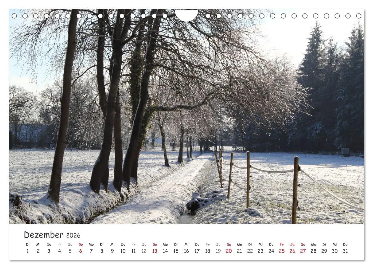 Bild: 9783457644676 | Zauberhaftes Ammerland (Wandkalender 2026 DIN A4 quer), CALVENDO...