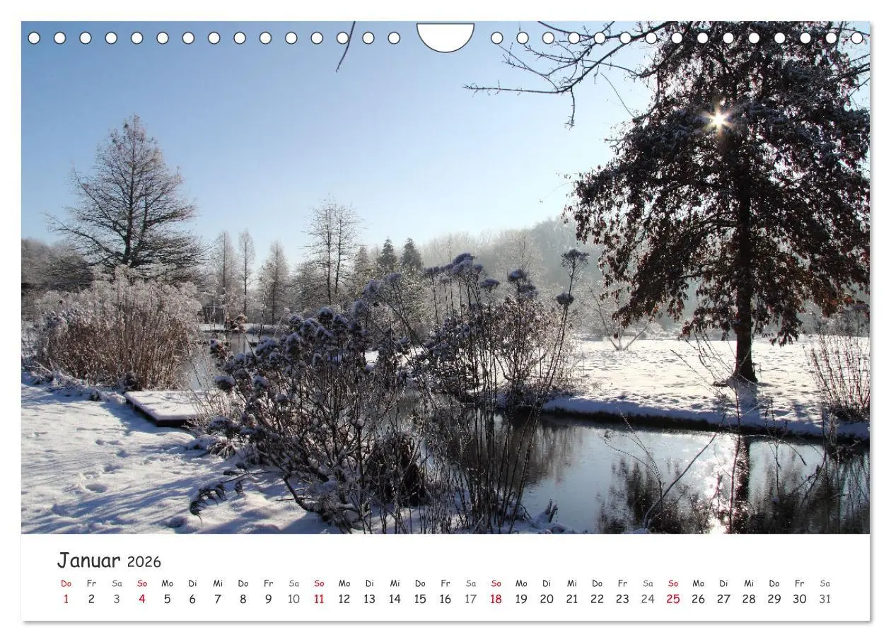Bild: 9783457644676 | Zauberhaftes Ammerland (Wandkalender 2026 DIN A4 quer), CALVENDO...
