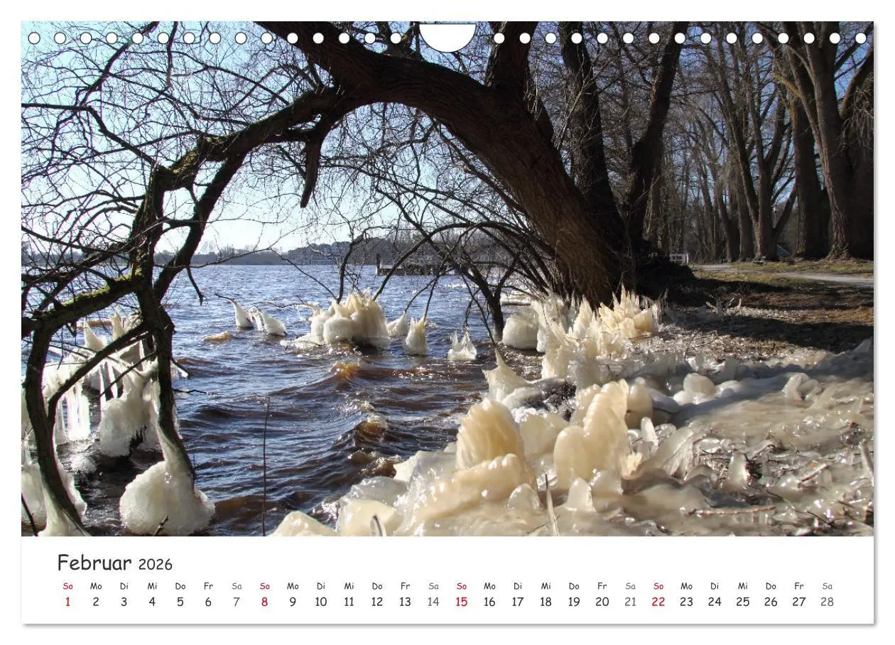 Bild: 9783457644676 | Zauberhaftes Ammerland (Wandkalender 2026 DIN A4 quer), CALVENDO...