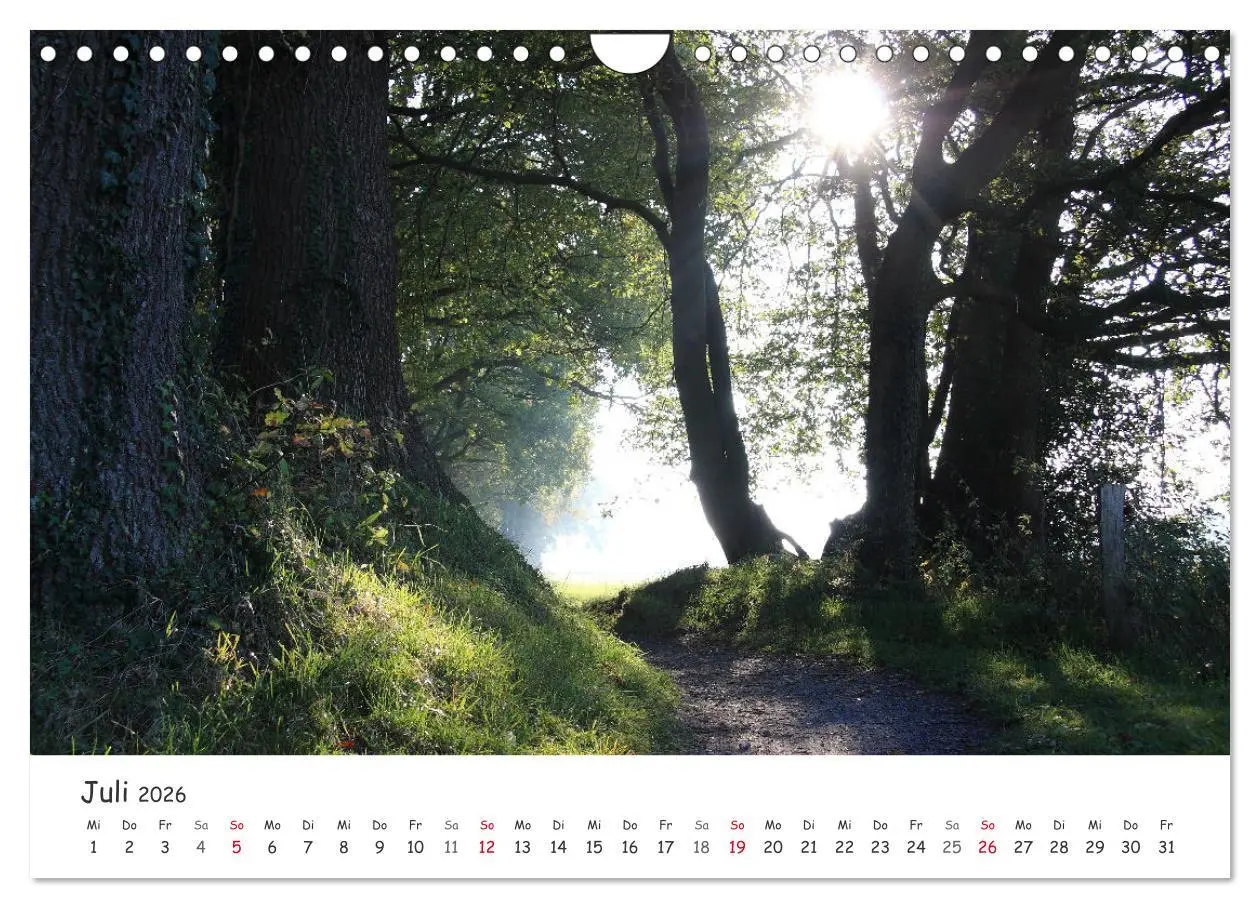 Bild: 9783457644676 | Zauberhaftes Ammerland (Wandkalender 2026 DIN A4 quer), CALVENDO...