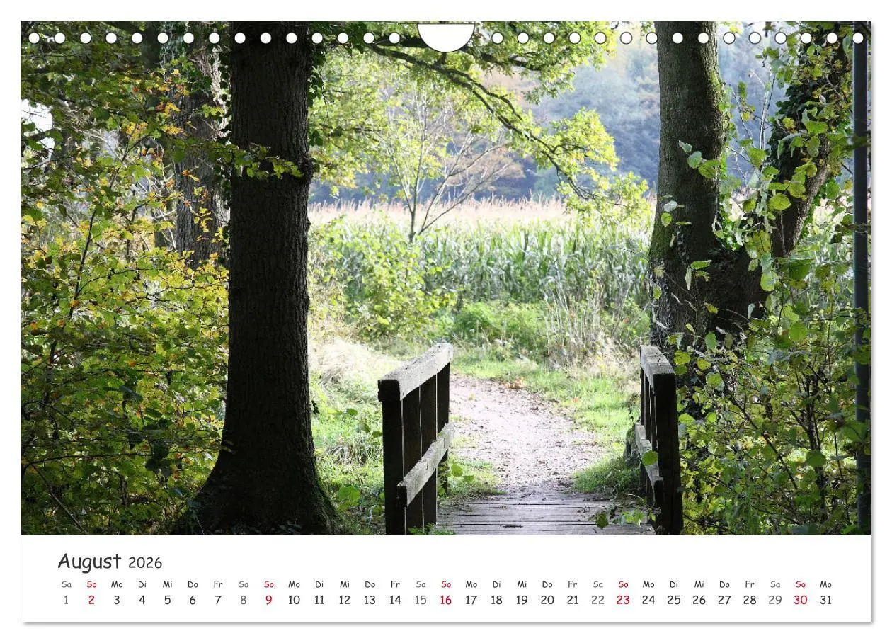 Bild: 9783457644676 | Zauberhaftes Ammerland (Wandkalender 2026 DIN A4 quer), CALVENDO...