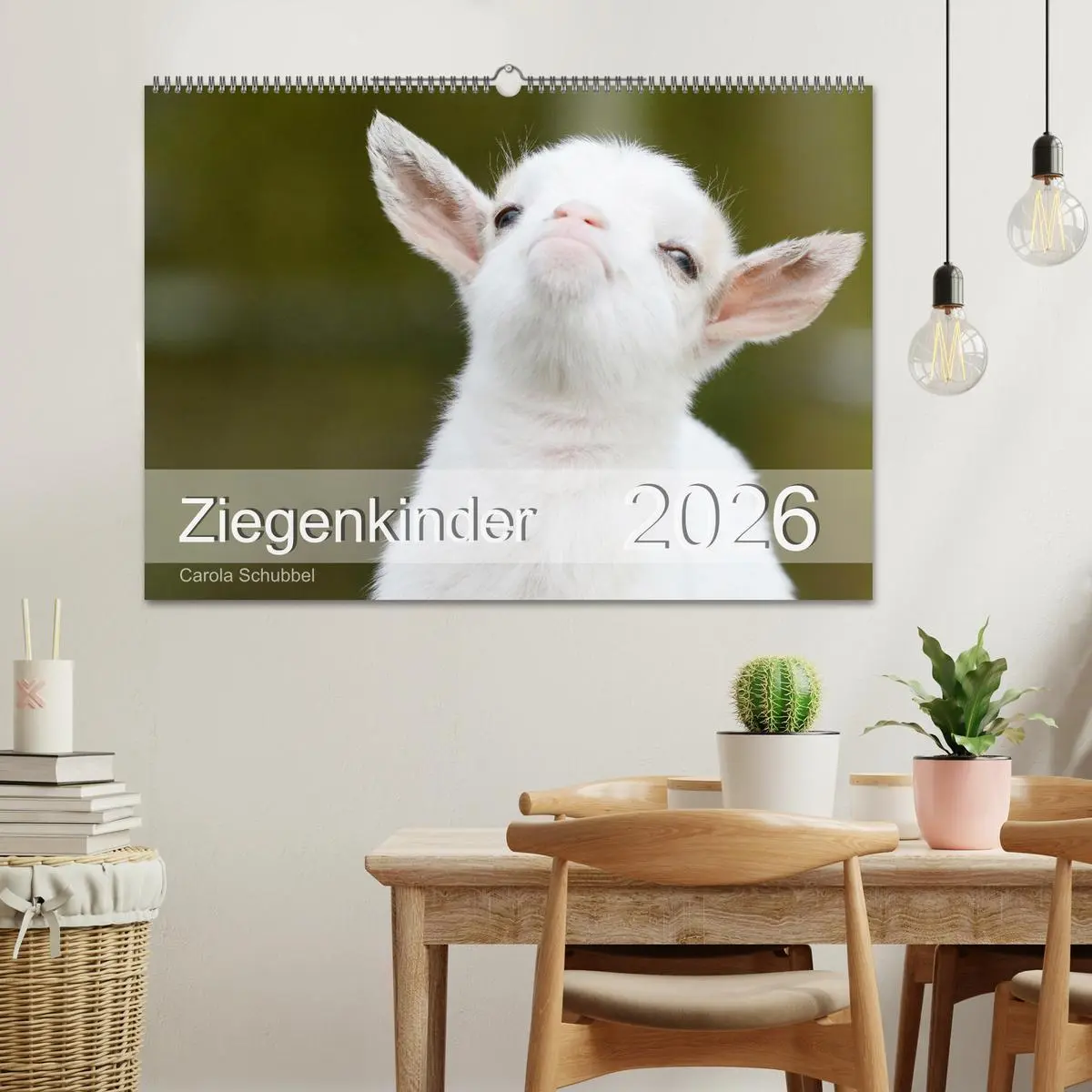Bild: 9783457634776 | Ziegenkinder (Wandkalender 2026 DIN A2 quer), CALVENDO Monatskalender