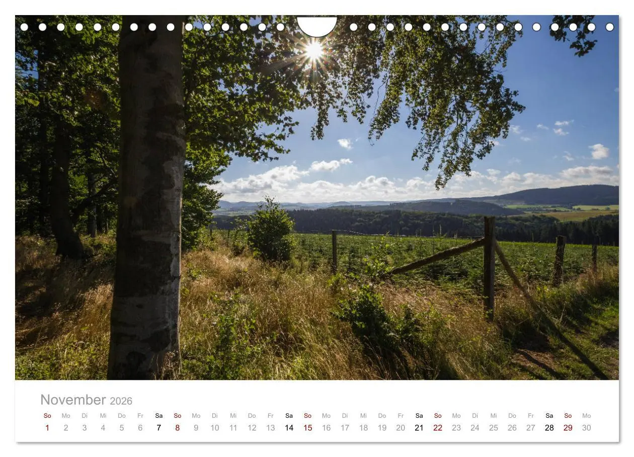 Bild: 9783457874776 | Schönes Sauerland (Wandkalender 2026 DIN A4 quer), CALVENDO...