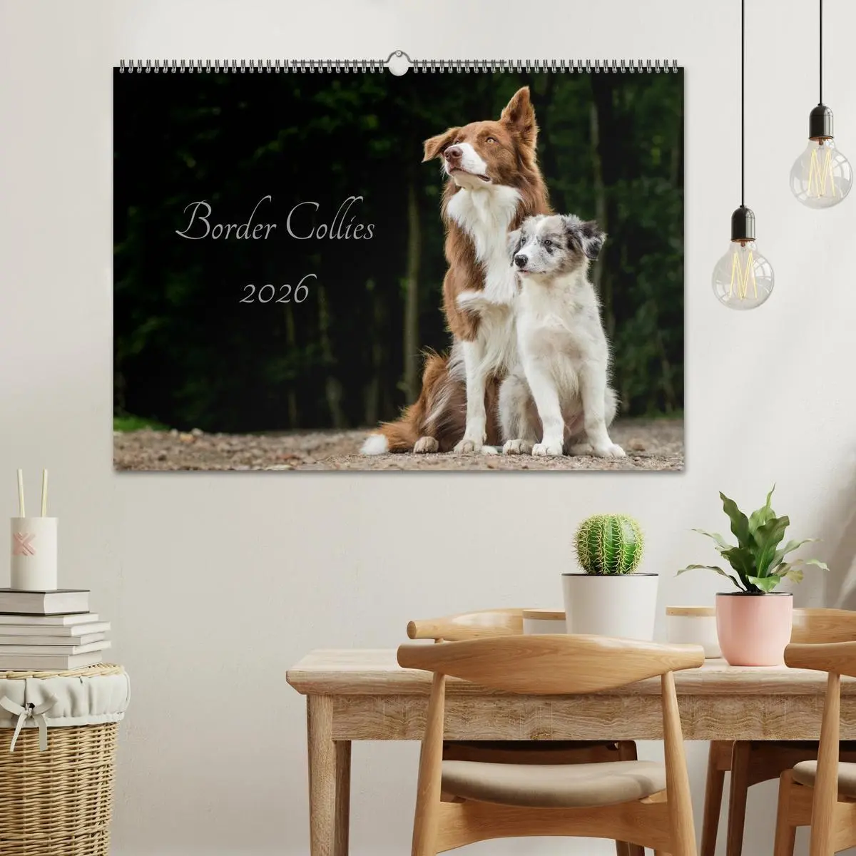 Bild: 9783516034776 | Border Collies 2026 (Wandkalender 2026 DIN A2 quer), CALVENDO...