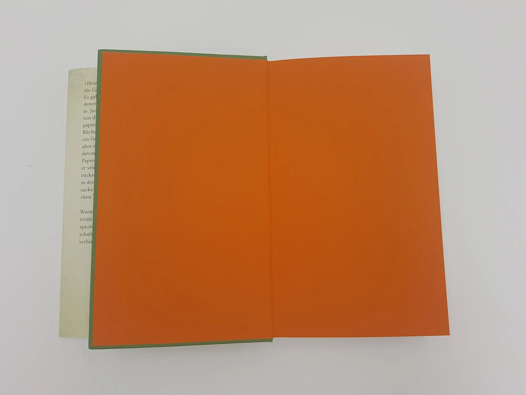 Bild: 9783866124776 | Der Buchspazierer | Roman | Carsten Henn | Buch | 240 S. | Deutsch