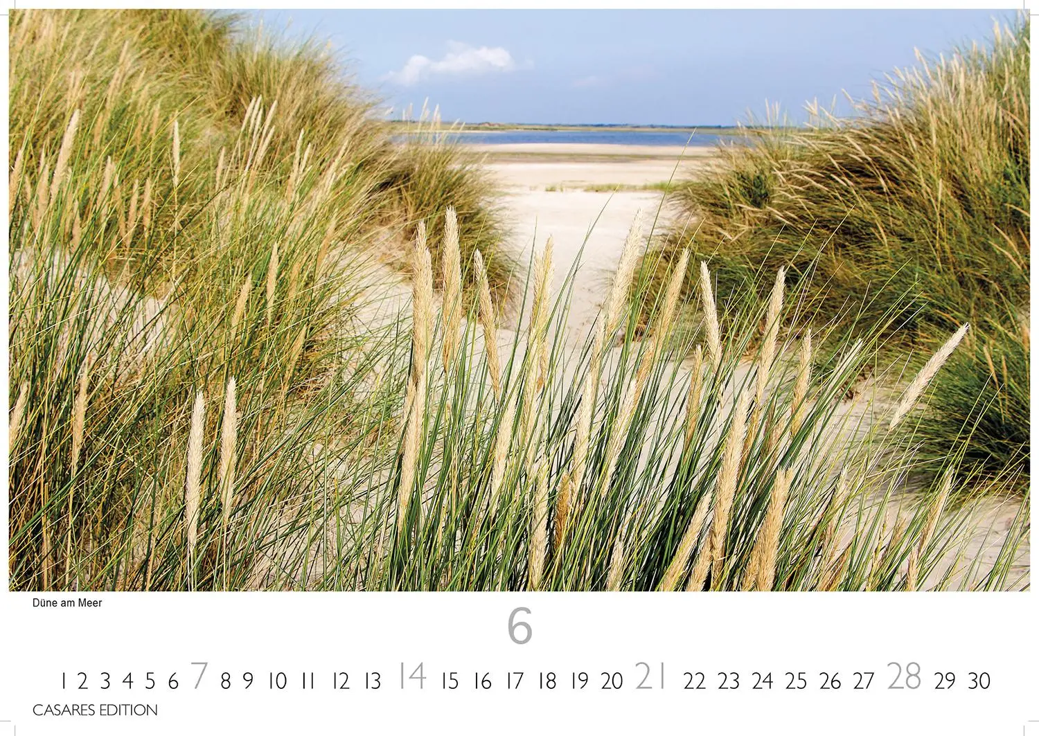 Bild: 9781835244876 | Niederlande Kalender 2026 35x50cm Grosses Format - Entdecken Sie...