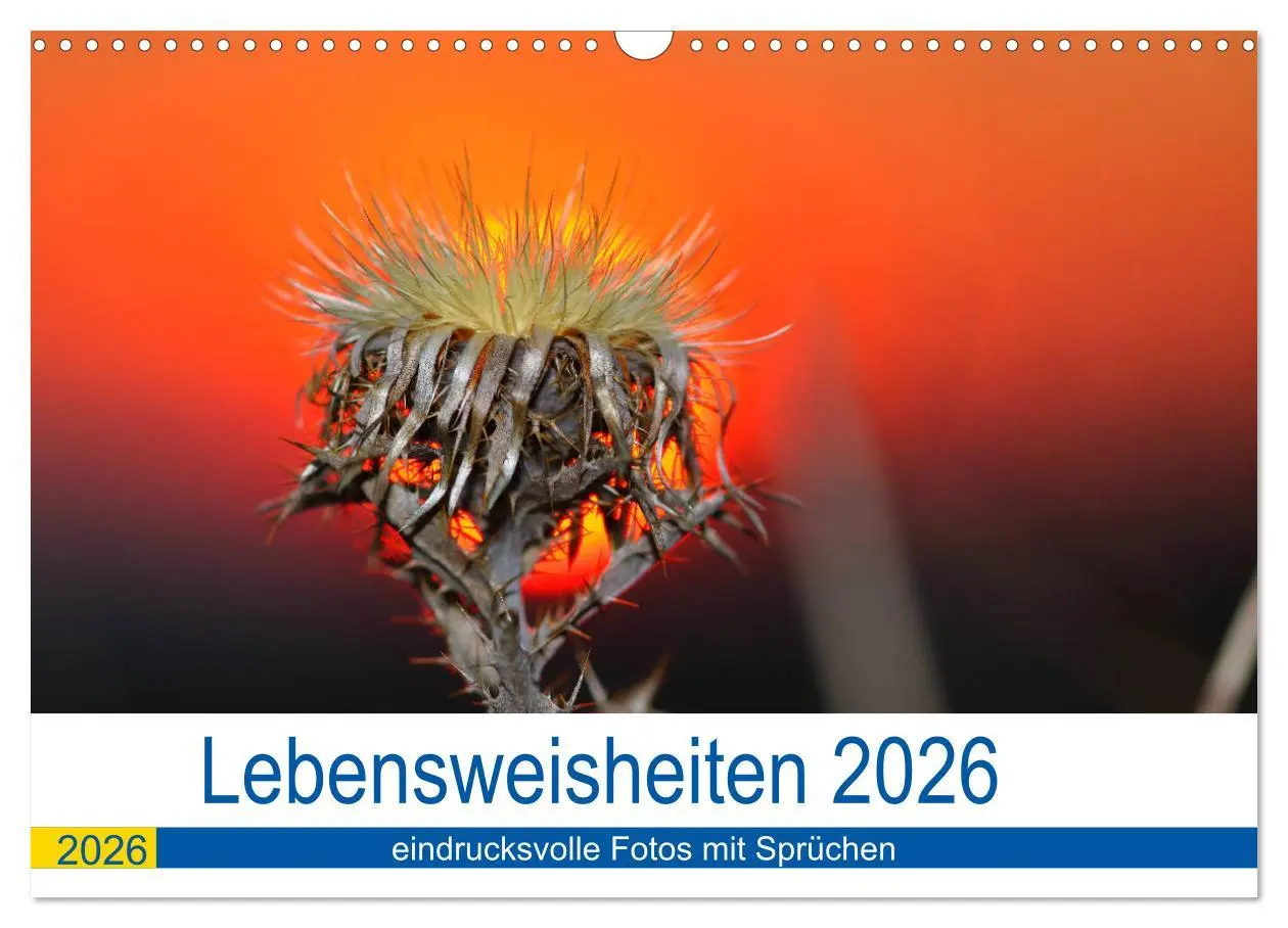Cover: 9783457794876 | Lebensweisheiten 2026 (Wandkalender 2026 DIN A3 quer), CALVENDO...