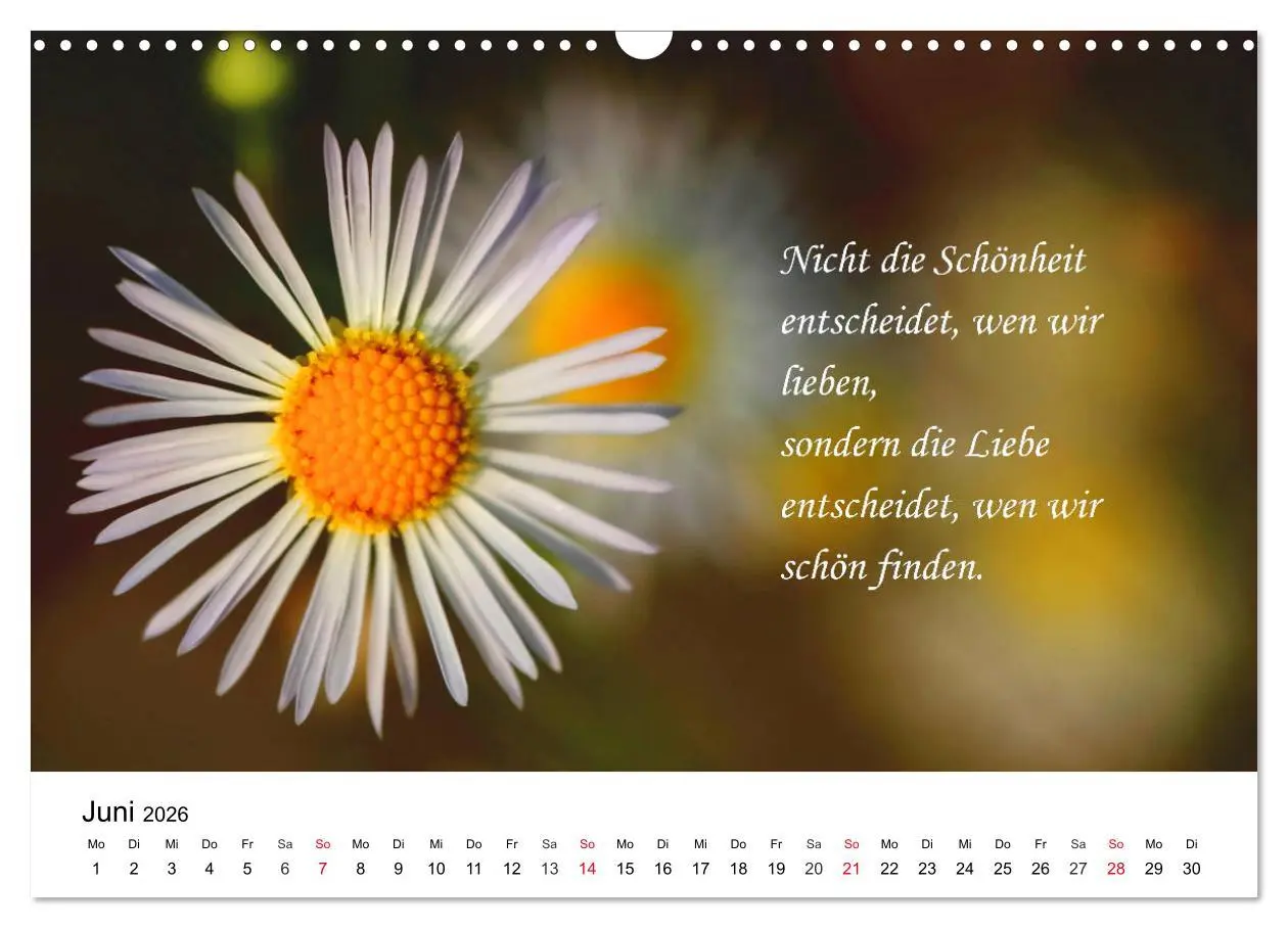 Bild: 9783457794876 | Lebensweisheiten 2026 (Wandkalender 2026 DIN A3 quer), CALVENDO...
