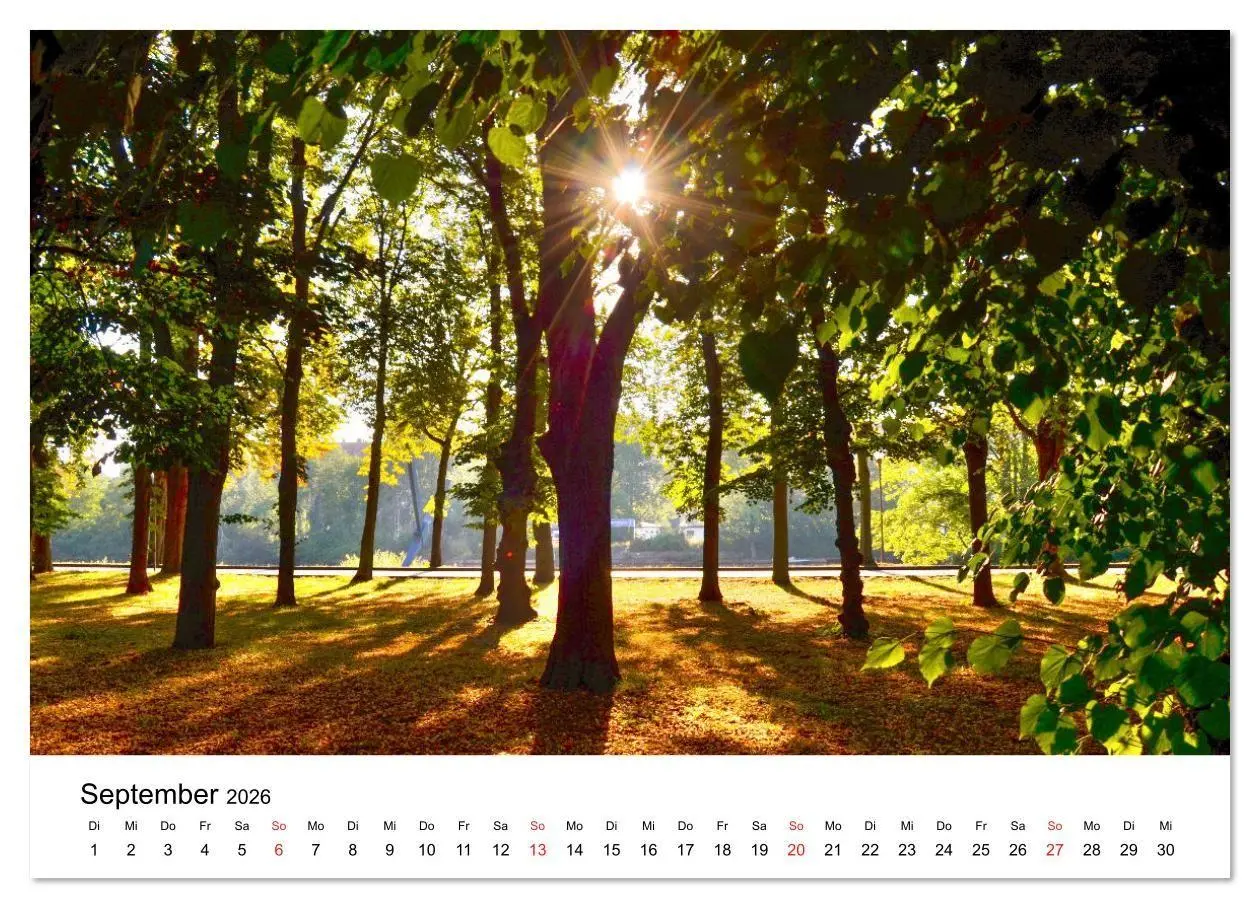 Bild: 9783457934876 | Kassel - Impressionen (Wandkalender 2026 DIN A3 quer), CALVENDO...