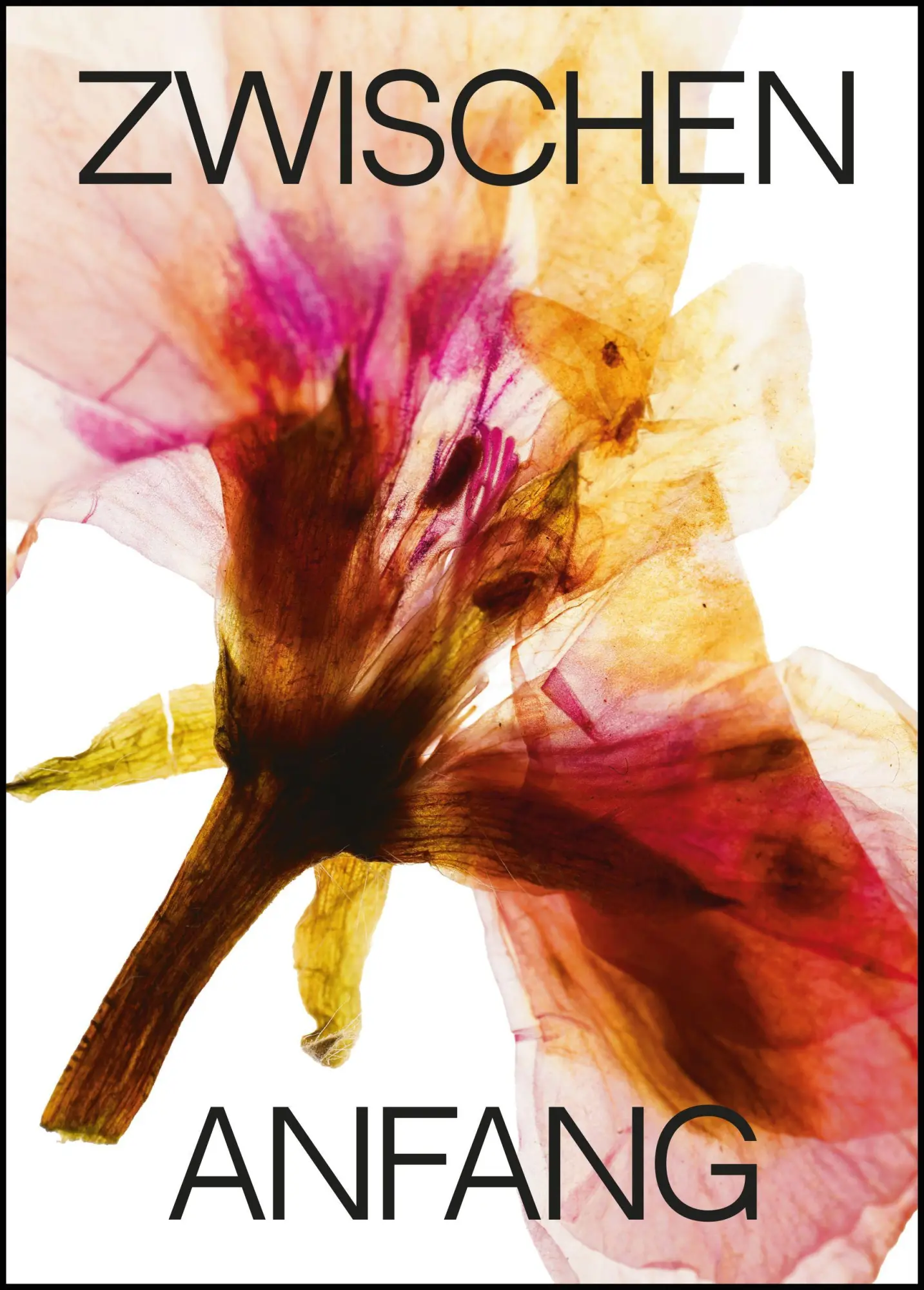 Cover: 9783956514876 | Zwischen Anfang und Ende | Geschichten aus dem Hospiz | Buch | 184 S.