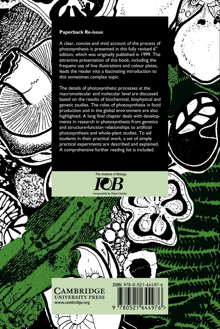 Rückseite: 9780521644976 | Photosynthesis | Krishna Rao (u. a.) | Taschenbuch | Englisch | 2010
