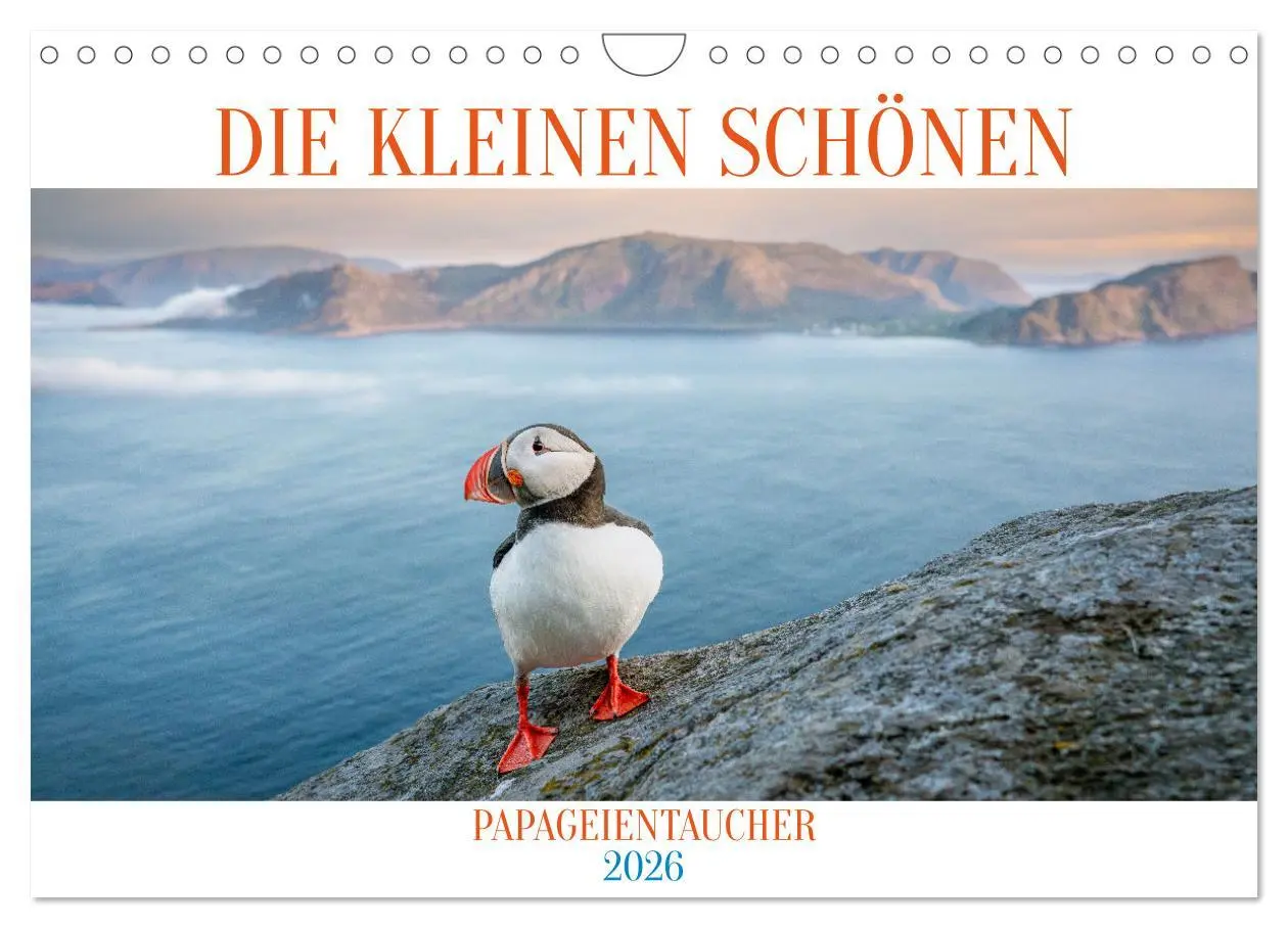 Cover: 9783457365076 | Die kleinen schönen (Wandkalender 2026 DIN A4 quer), CALVENDO...