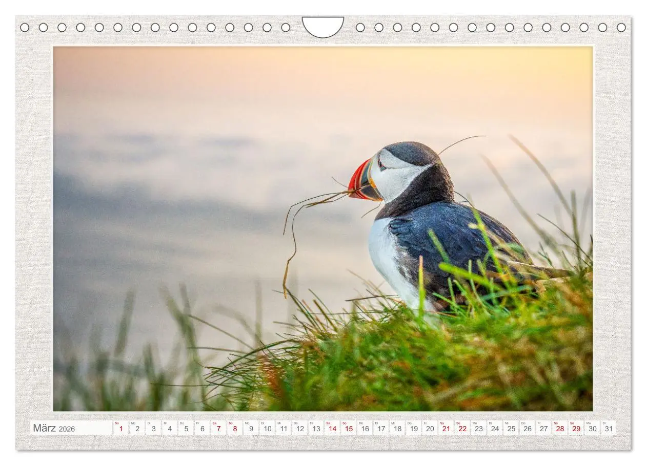 Bild: 9783457365076 | Die kleinen schönen (Wandkalender 2026 DIN A4 quer), CALVENDO...