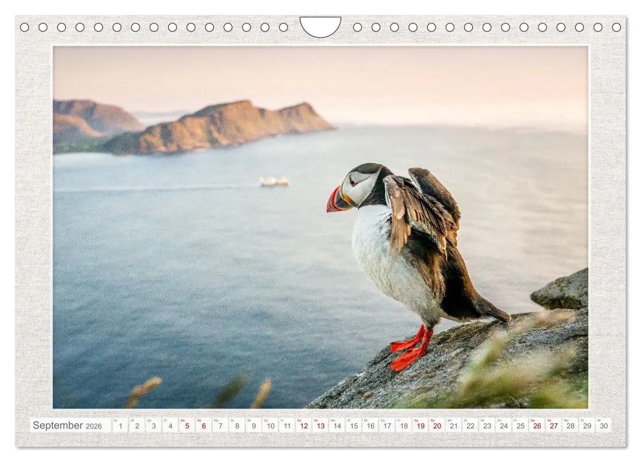 Bild: 9783457365076 | Die kleinen schönen (Wandkalender 2026 DIN A4 quer), CALVENDO...