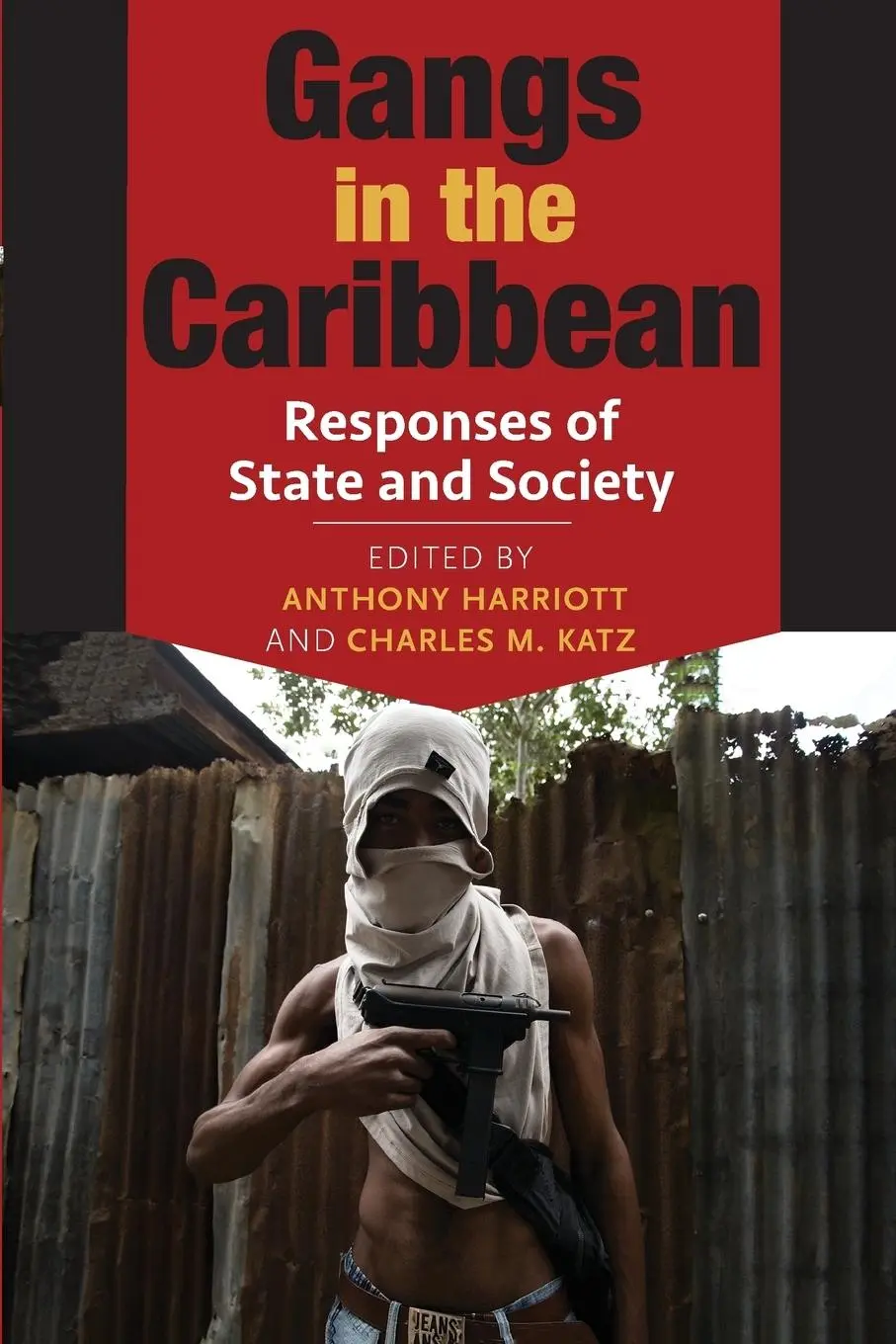 Cover: 9789766405076 | Gangs in the Caribbean | Anthony Harriott (u. a.) | Taschenbuch | 2015