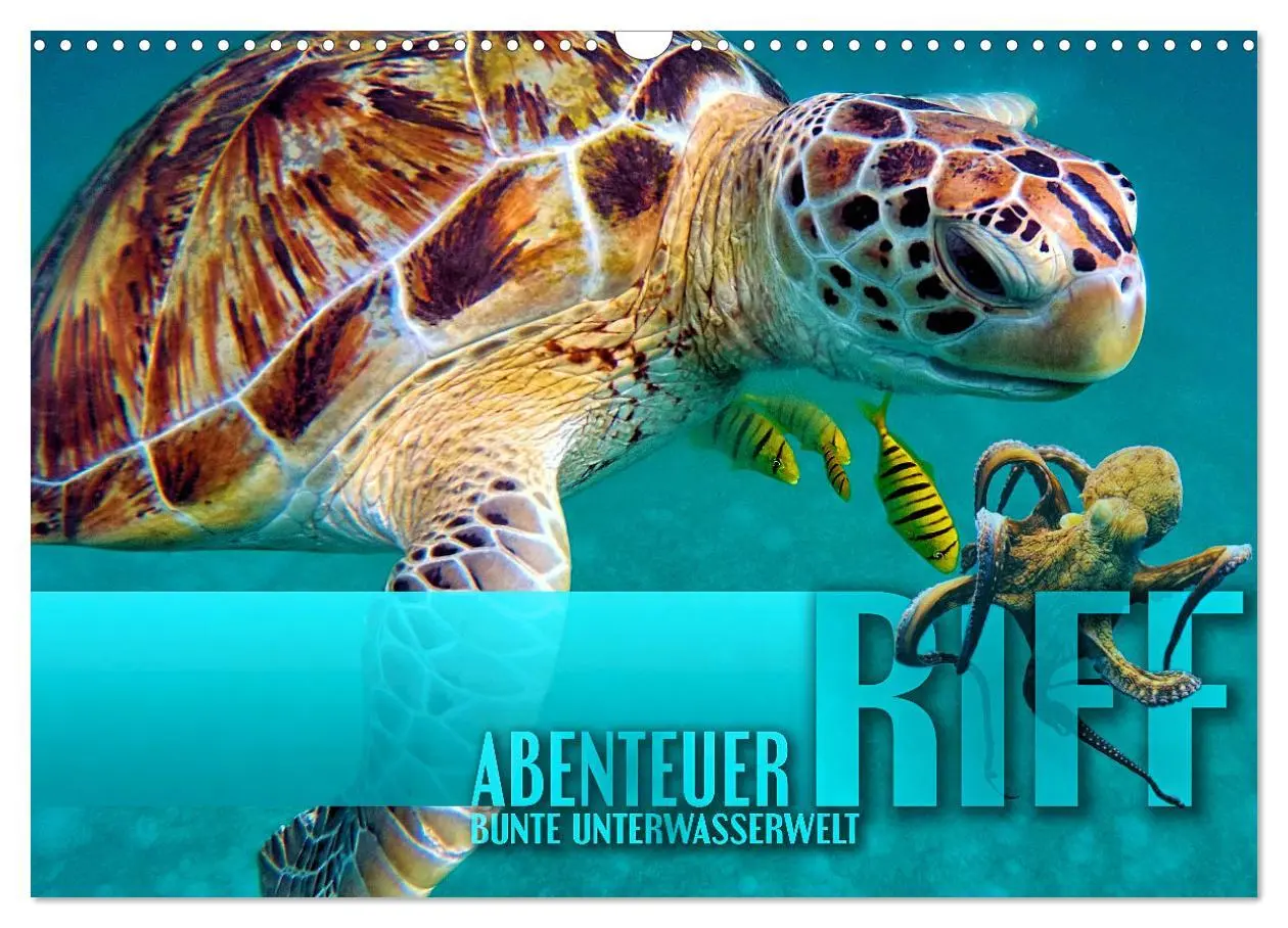 Cover: 9783457595176 | Abenteuer Riff - bunte Unterwasserwelt (Wandkalender 2026 DIN A3...