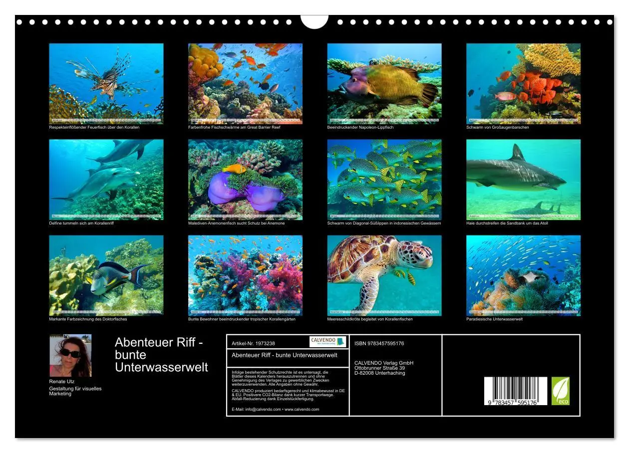 Bild: 9783457595176 | Abenteuer Riff - bunte Unterwasserwelt (Wandkalender 2026 DIN A3...