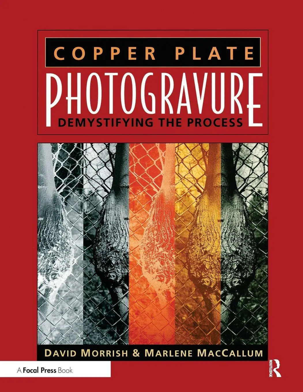Cover: 9780240805276 | Copper Plate Photogravure | Demystifying the Process | Morrish (u. a.)
