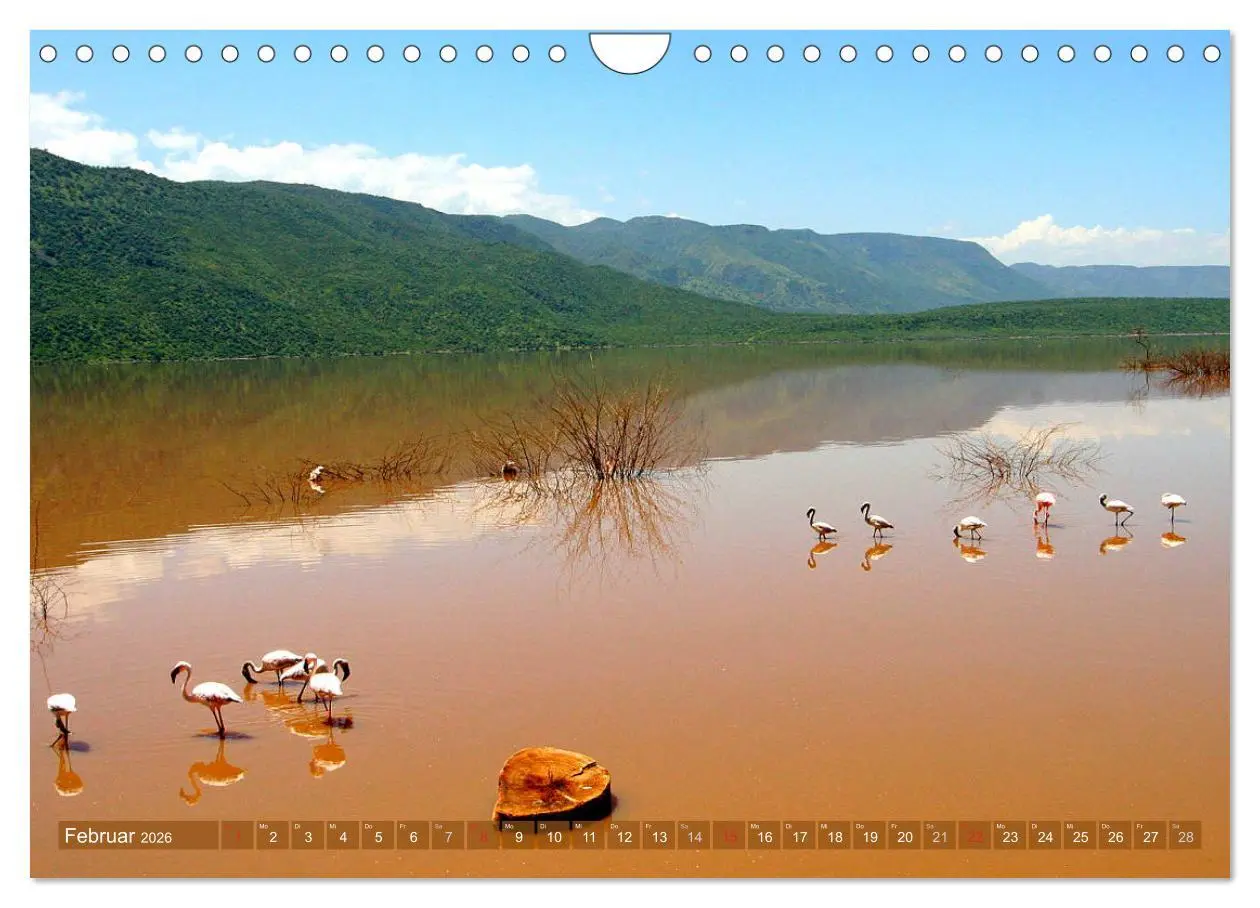 Bild: 9783457955376 | Traumlandschaften Kenia (Wandkalender 2026 DIN A4 quer), CALVENDO...