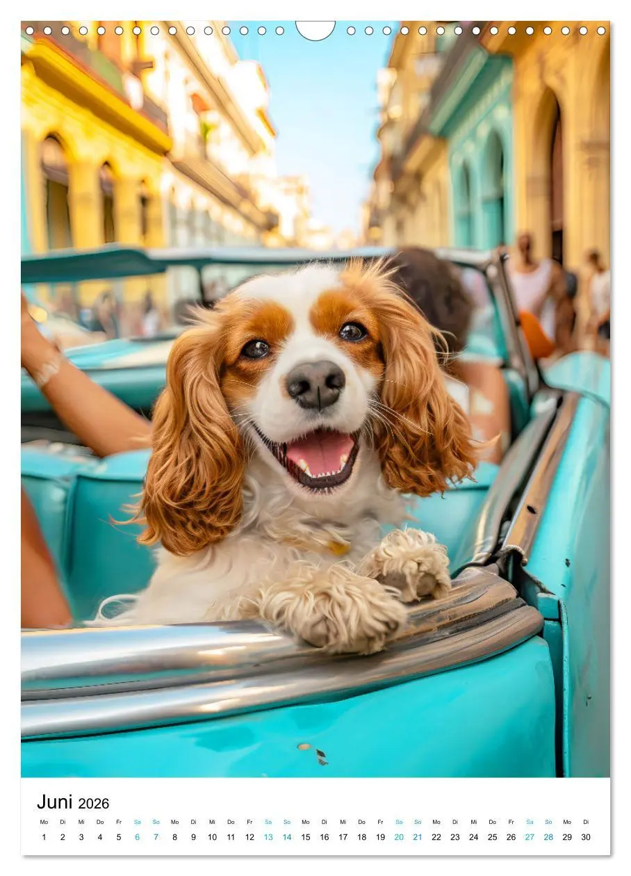 Bild: 9783516285376 | Cavalier King Charles Spaniel - Lustige Weltenreise im Selfie-Modus...