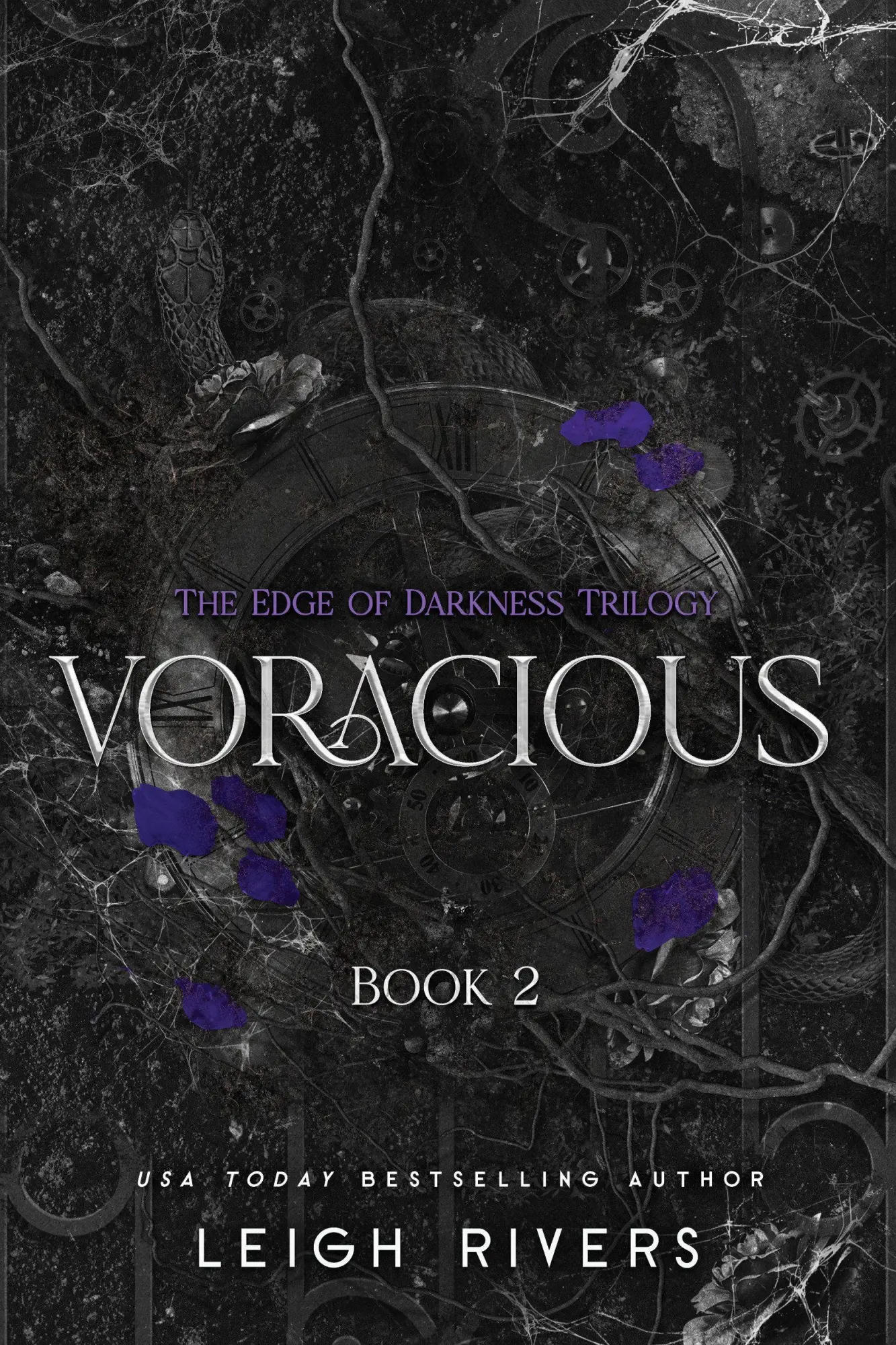 Cover: 9781638935476 | Voracious | The Edge of Darkness Trilogy | Leigh Rivers | Taschenbuch